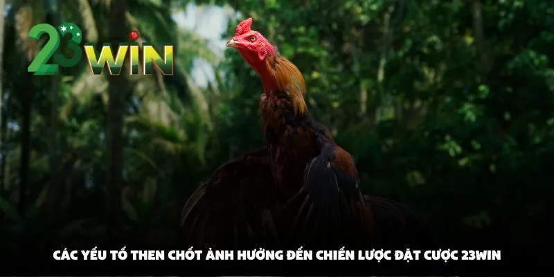Chiến Lược Đặt Cược Đá Gà Tại 23win: Cách Đọc Kèo Và Chọn Chiến Kê Thắng