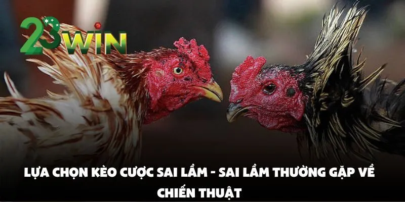 Sai Lầm Thường Gặp Khi Cược Đá Gà Tại 23win Khiến Người Chơi Trắng Tay